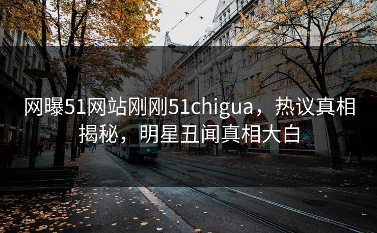 网曝51网站刚刚51chigua，热议真相揭秘，明星丑闻真相大白