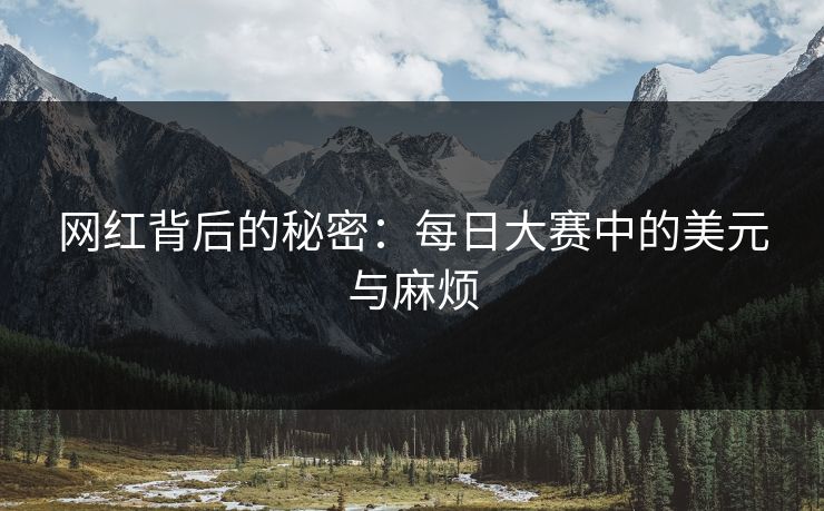 网红背后的秘密：每日大赛中的美元与麻烦