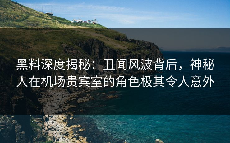 黑料深度揭秘：丑闻风波背后，神秘人在机场贵宾室的角色极其令人意外