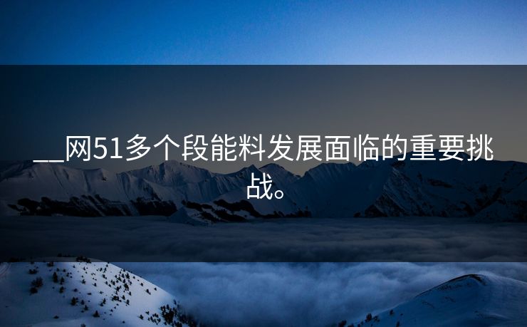 __网51多个段能料发展面临的重要挑战。
