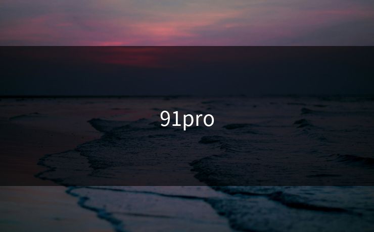 91pro